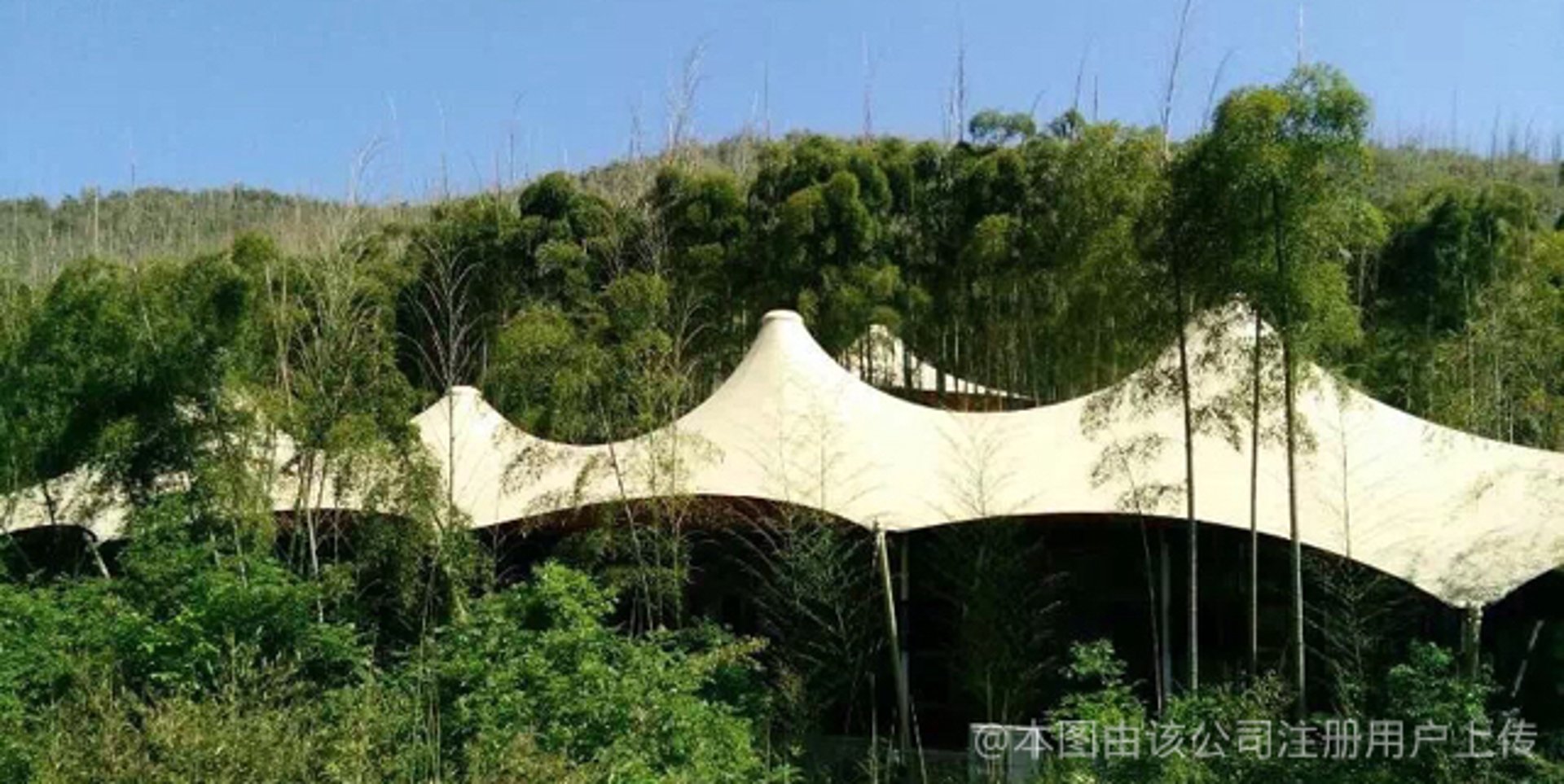 圣鲁斯帐篷